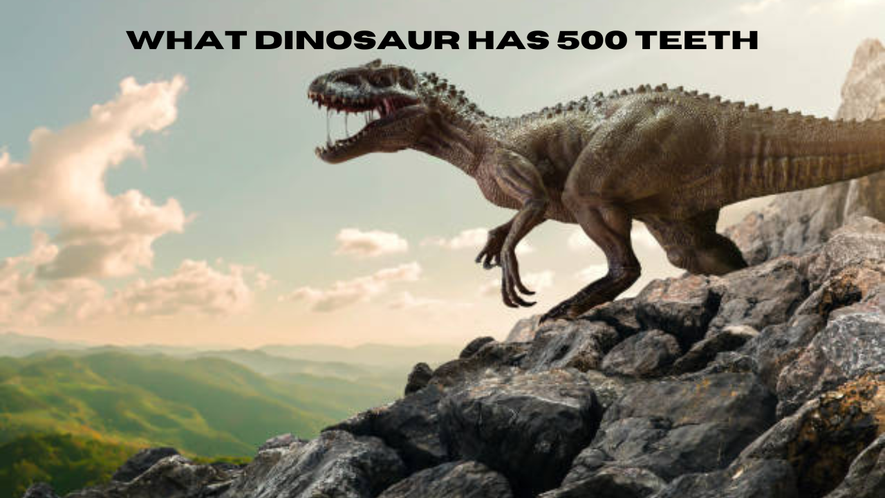 what dinosaur has 500 teeth