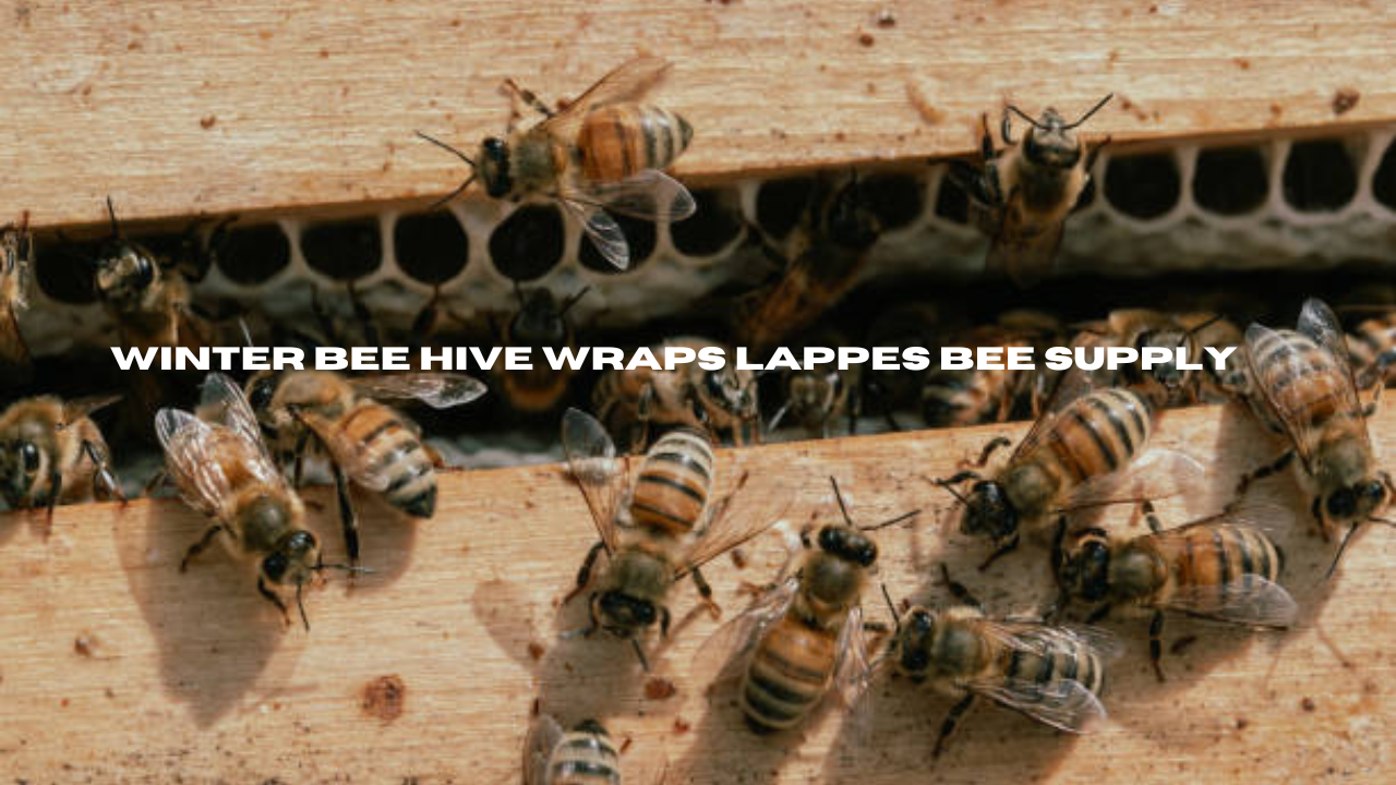 winter bee hive wraps lappes bee supply