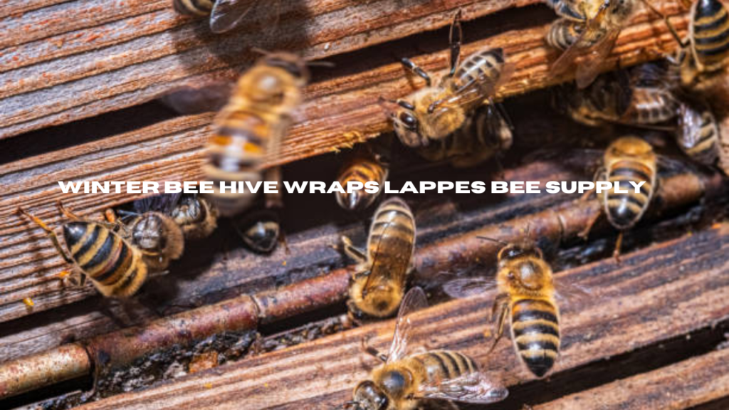 winter bee hive wraps lappes bee supply