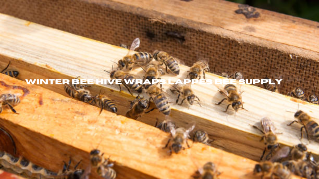 winter bee hive wraps lappes bee supply