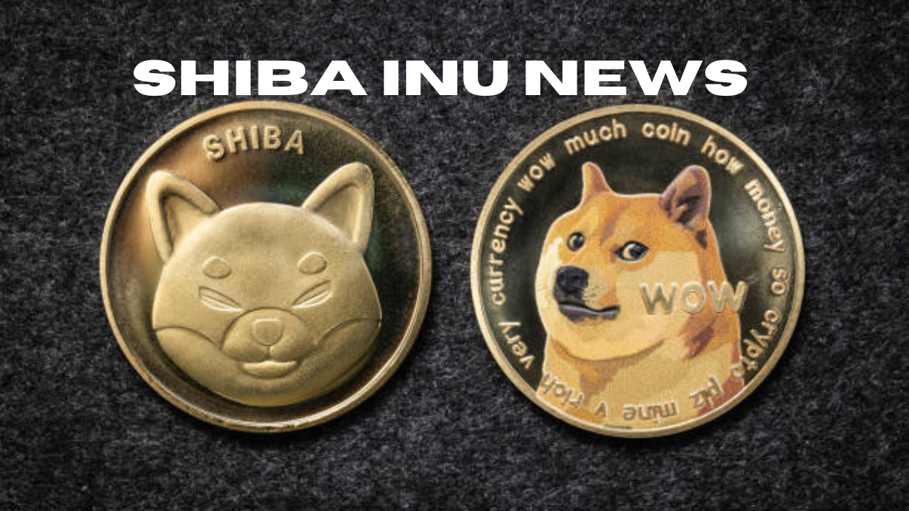 shiba inu news