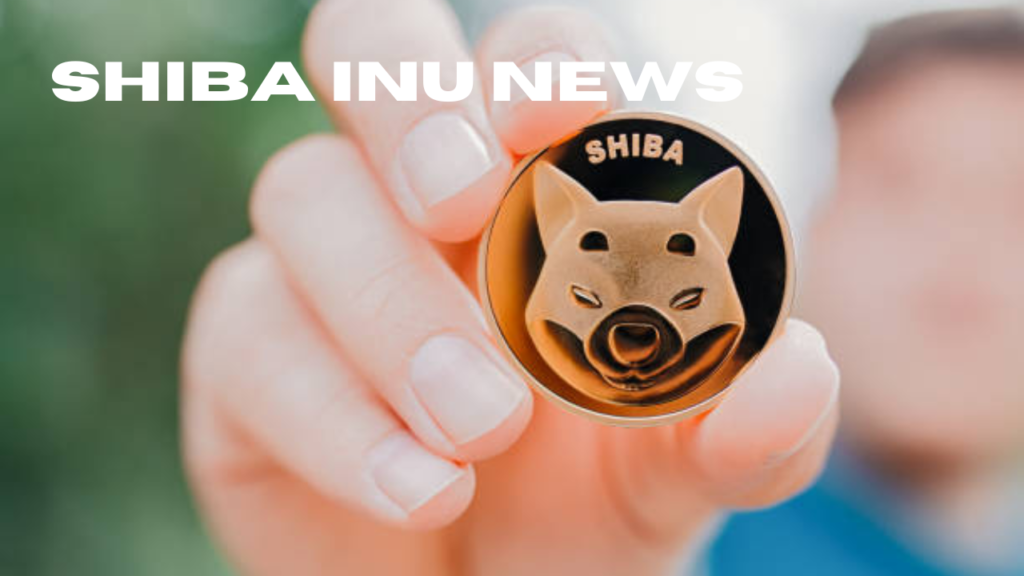 shiba inu news