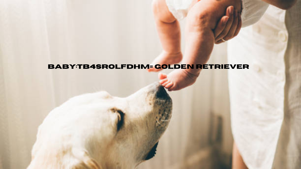 baby:tb4srolfdhm= golden retriever